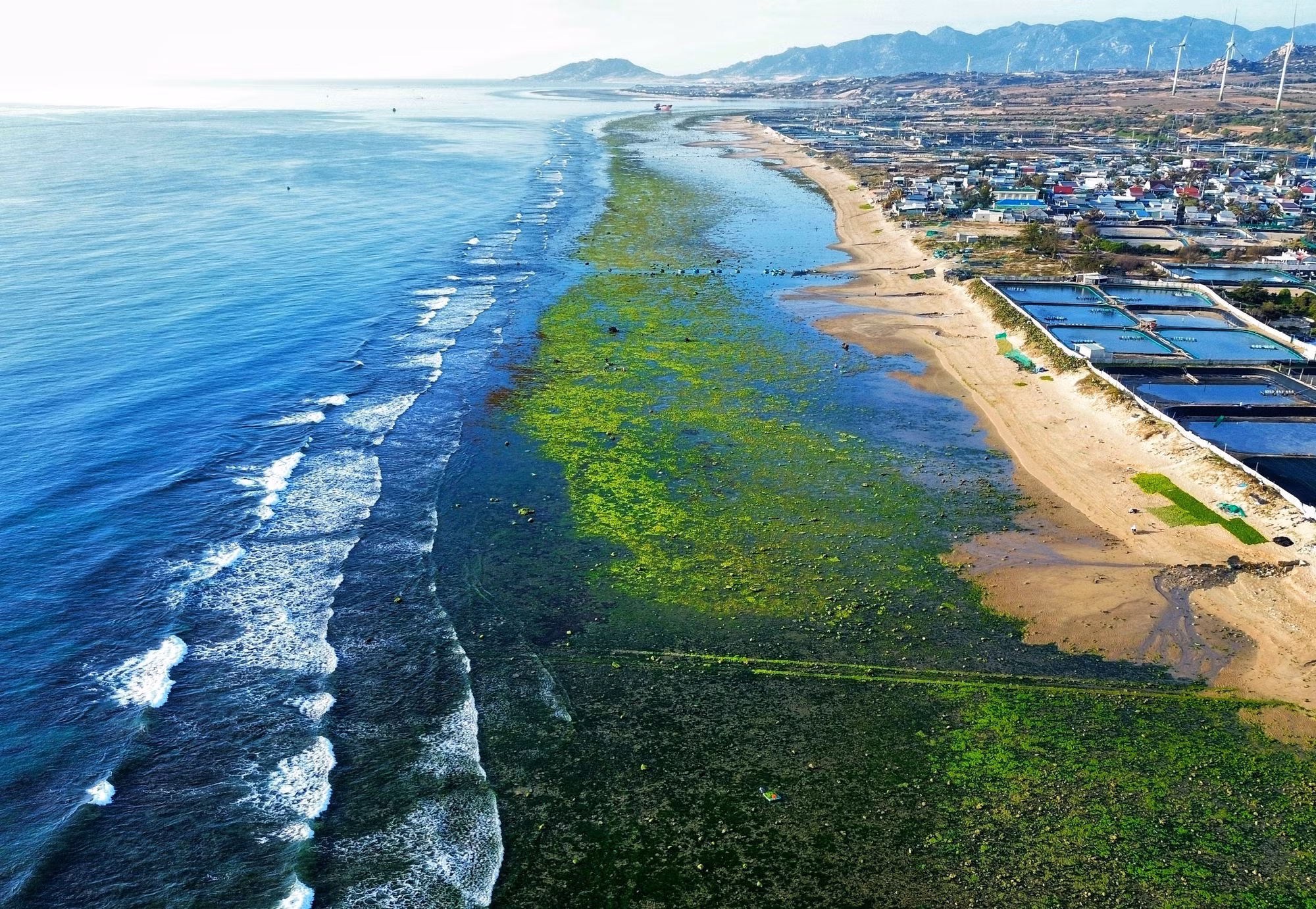 potal-ve-dep-canh-dong-rong-bien-o-ninh-thuan-7886996.jpg