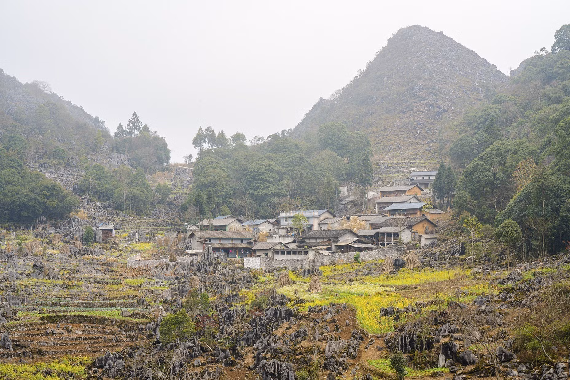 potal-ha-giang-dang-tro-thanh-diem-den-cua-nhieu-du-khach-quoc-te-7918666.jpg