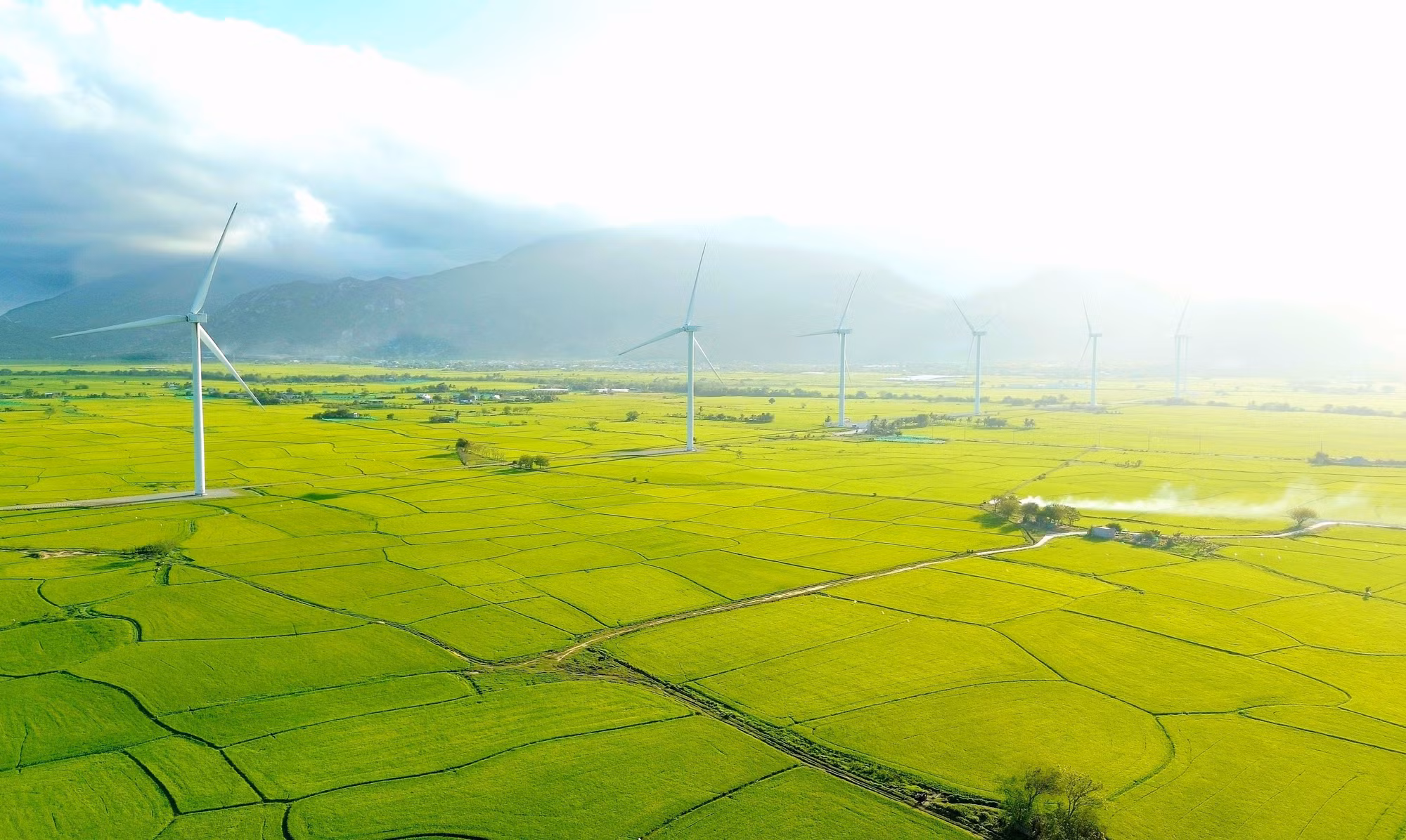 potal-kham-pha-canh-dong-dien-gio-dam-nai-ninh-thuan-7908282.jpg