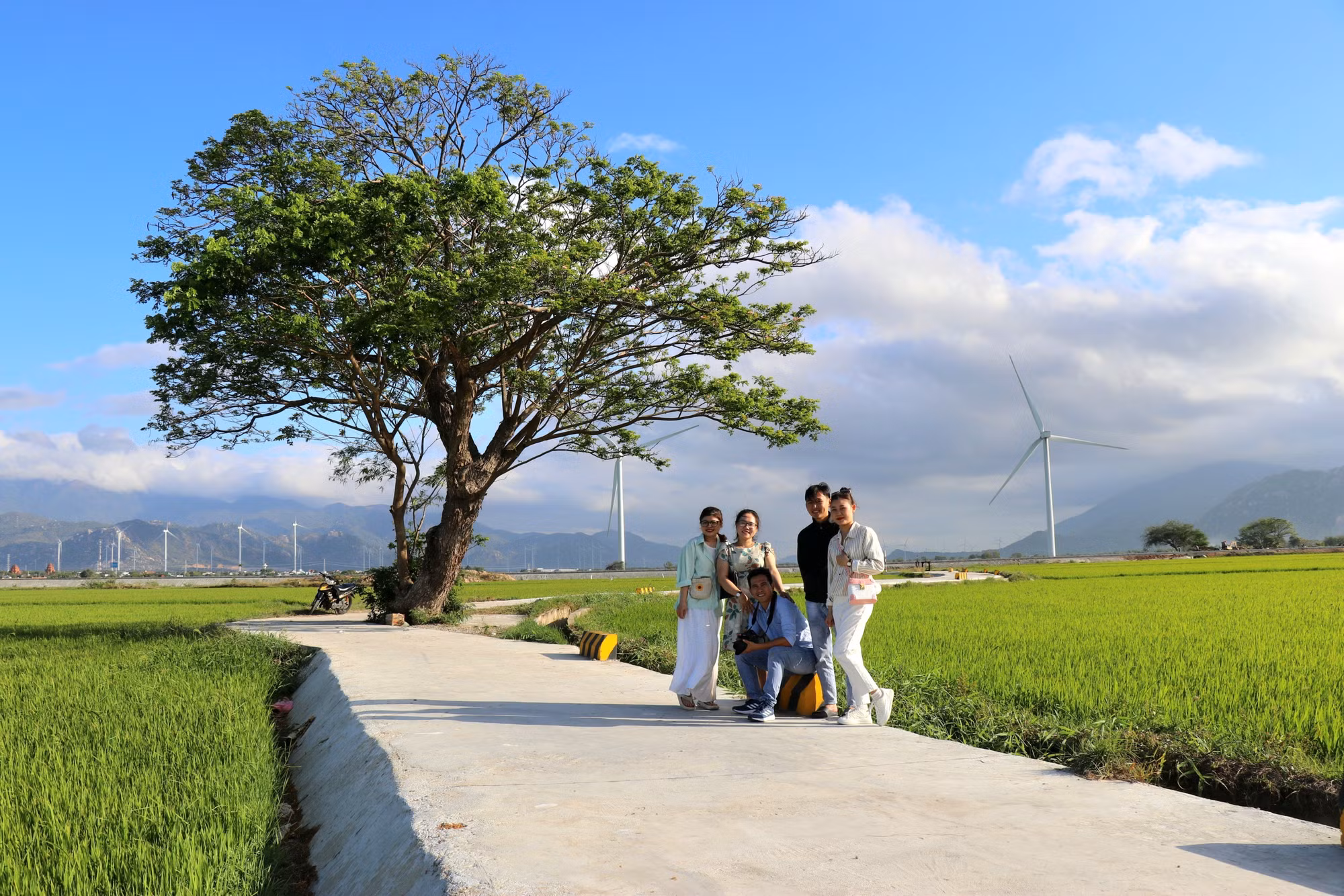 potal-kham-pha-canh-dong-dien-gio-dam-nai-ninh-thuan-7908288.jpg