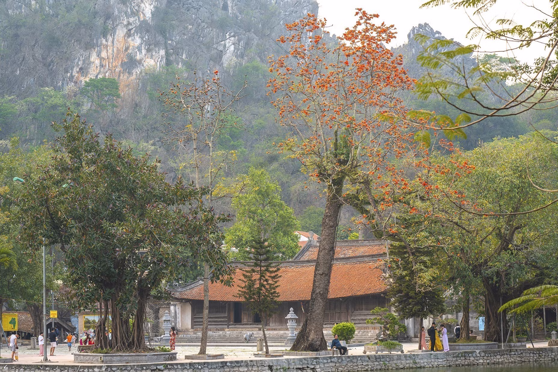 potal-do-ruc-troi-mua-hoa-gao-thang-ba-7935905.jpg