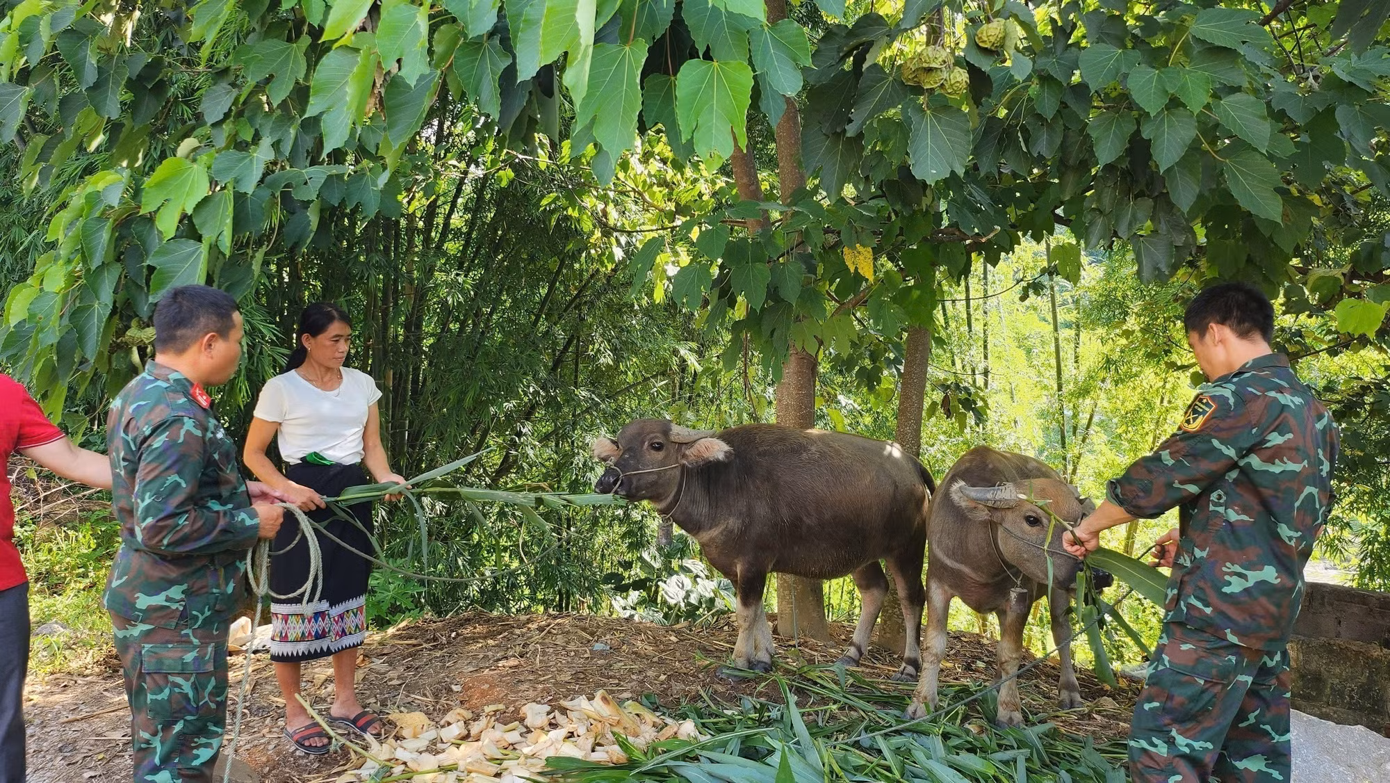 potal-thanh-hoa-cu-hich-giup-huyen-vung-cao-bien-gioi-muong-lat-vuon-len-thoat-ngheo-7827685.jpg