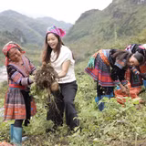 Thương mại điện tử mở rộng thị trường cho sản vật vùng cao