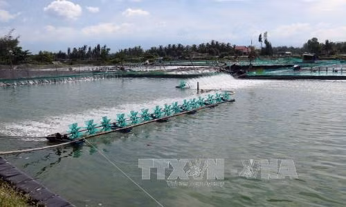Trà Vinh đầu tư hơn 838 tỷ đồng hỗ trợ phát triển thủy sản ảnh 1