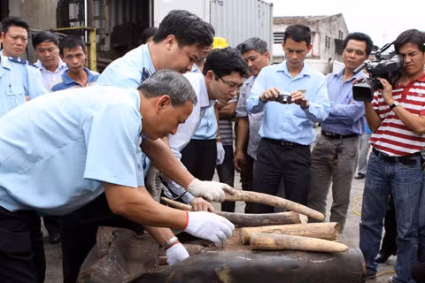 Tiêu hủy 2 tấn ngà voi và 70kg sừng tê giác ảnh 1