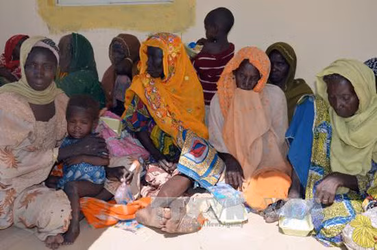 Nigeria giải cứu gần 40 phụ nữ và trẻ em khỏi tay Boko Haram ảnh 1