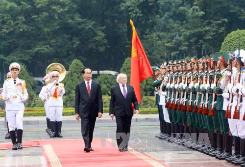 Chủ tịch nước Trần Đại Quang tiếp đón Tổng thống Ireland thăm cấp Nhà nước tới Việt Nam ảnh 1