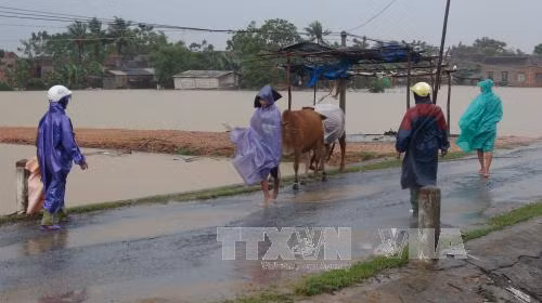 Hơn 5.000 nhà dân ở Quảng Bình ngập nước, giao thông chia cắt ảnh 3