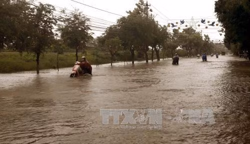 Di dời 217 hộ dân bị ngập sâu ở Bình Định đến nơi an toàn ảnh 1