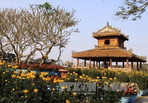 Trên 2,74 triệu lượt du khách đến Huế ảnh 1