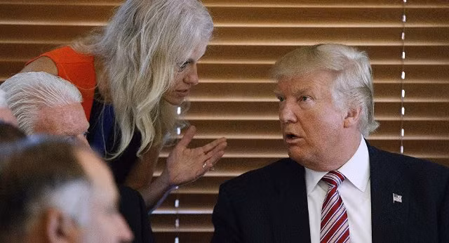 Ông Trump bị cấm dùng Twitter ảnh 1
