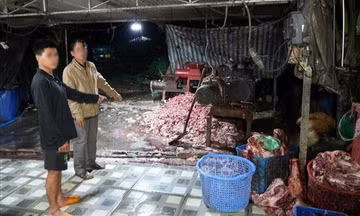 Triệt phá đường dây tiêu thụ khoảng 400 tấn lợn bệnh, lợn chết