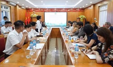 Chia sẻ kinh nghiệm xử lý các vụ án tranh chấp sở hữu trí tuệ
