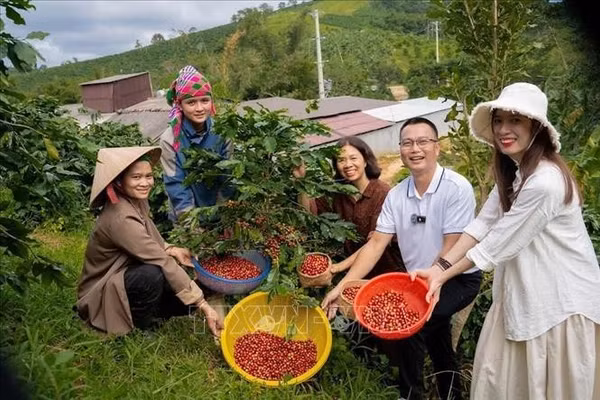 Đánh thức 'mỏ vàng xanh' từ nông nghiệp - Bài cuối