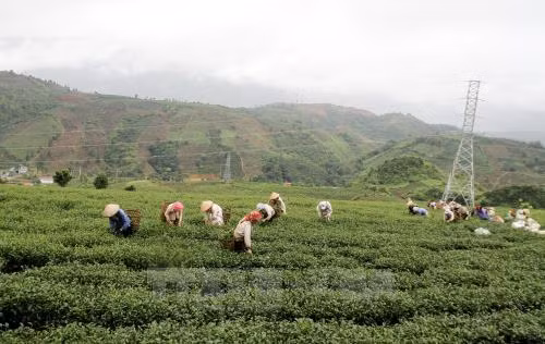 Học và làm theo Bác: Không ngừng học tập, tu dưỡng, nói đi đôi với làm ảnh 2