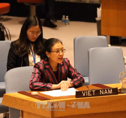Việt Nam nhấn mạnh nghĩa vụ giải quyết tranh chấp bằng biện pháp hòa bình ảnh 1