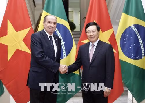 Bộ trưởng Ngoại giao Cộng hòa Liên bang Brasil thăm chính thức Việt Nam ảnh 1