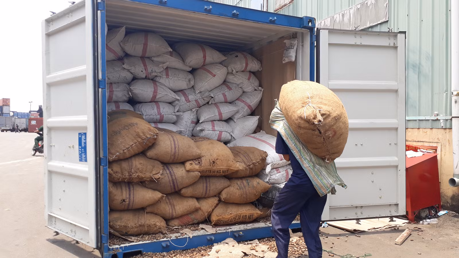 Container chứa hơn 3 tấn vẩy tê tê ‘ngụy trang’ là bao hạt điều ảnh 1