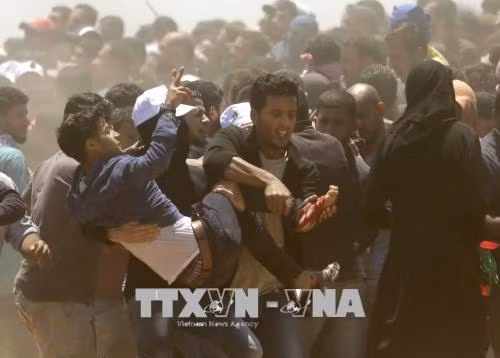 Palestine kêu gọi đình công ở Bờ Tây và Gaza ảnh 1