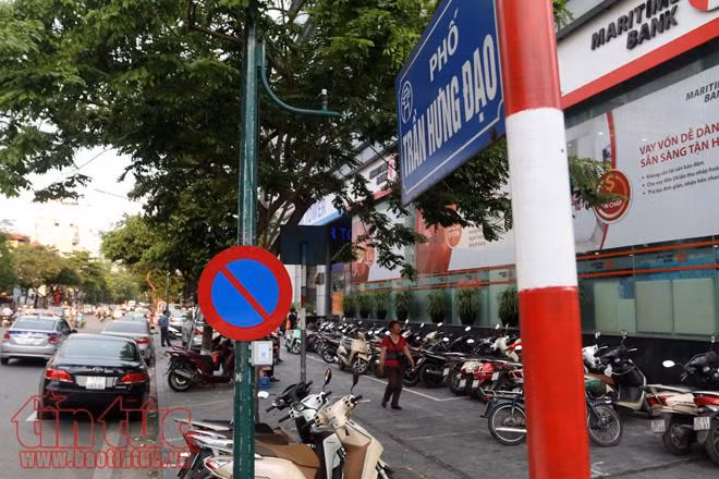 Những cây sưa trị giá hàng tỷ đồng trước ngày di dời làm ga ngầm ảnh 1