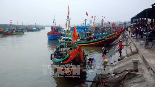  Việt Nam có thể trở thành hình mẫu trong việc giảm khai thác hải sản bất hợp pháp ảnh 1
