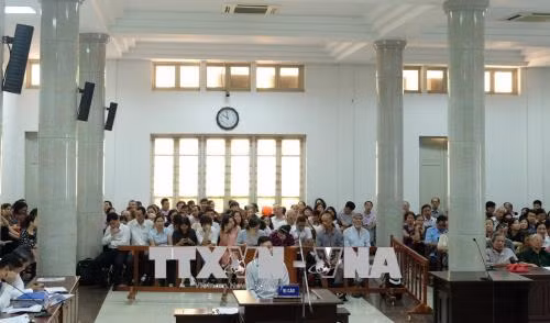 Xét xử chủ trang mạng 'hoclamgiau.vn' lừa đảo gần 480 tỷ đồng ảnh 1
