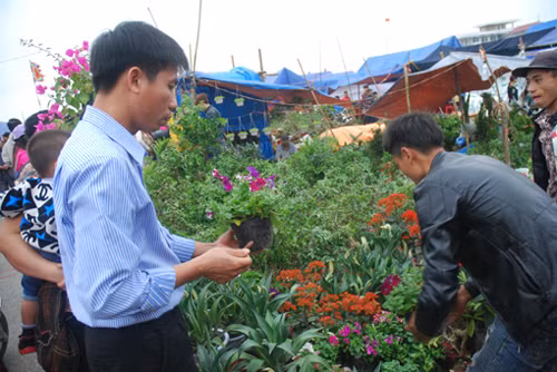 'Mua may, bán rủi' ở chợ Viềng ảnh 1