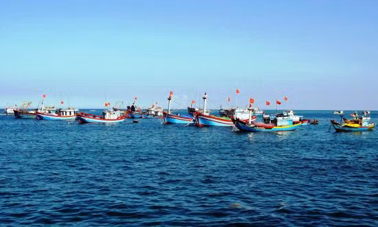 Bám ngư trường, bảo vệ vùng biển thiêng liêng của Tổ quốc ảnh 1