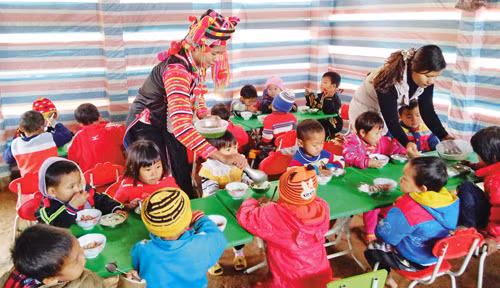 Phụ huynh cùng nuôi học sinh bán trú ảnh 1