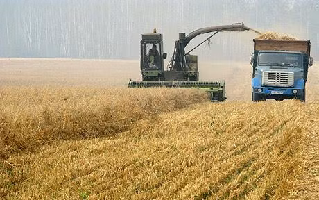 Nga và Ukraine cân nhắc kiểm soát xuất khẩu ảnh 1