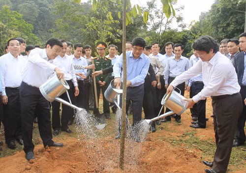 Tết trồng cây nhớ ơn Bác ảnh 1