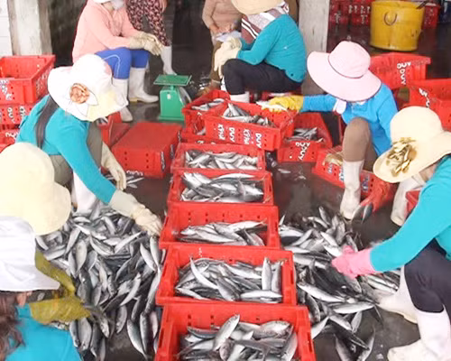  Vươn ra khơi bằng cả trái tim ảnh 3
