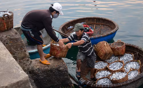 Thêm tàu cá bị tàu Trung Quốc tấn công, cướp tài sản ảnh 1