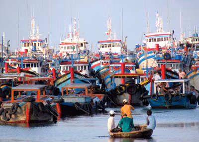 Hỗ trợ ngư dân yên tâm bám biển ảnh 2