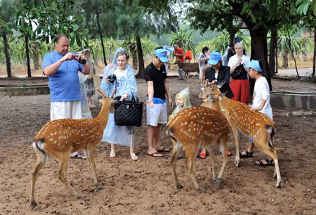 Du khách Nga mê Nha Trang ảnh 1