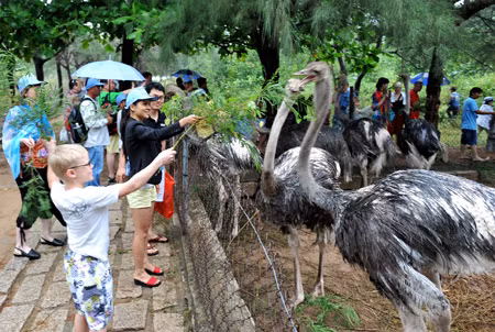 Du khách Nga mê Nha Trang ảnh 2