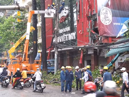 Hàng trăm cây xanh ở TPHCM bị bão tàn phá ảnh 1