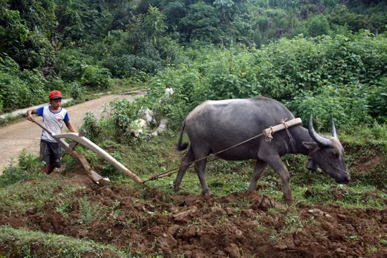 “Bà đỡ” của đồng bào nghèo ảnh 1