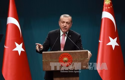 Tổng thống Erdogan lại hàm ý nước ngoài dính líu đến đảo chính ảnh 1