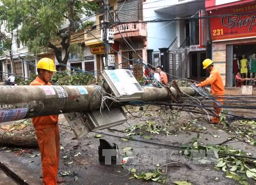 Nam Định chủ động hộ đê ứng phó bão số 2 ảnh 1