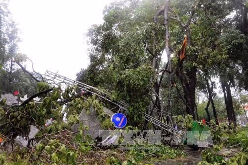 Giông lốc, sét đánh ở Lào Cai: 5 người thương vong ảnh 1