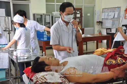 Nhậu với cá nóc, 5 người nhập viện ảnh 1