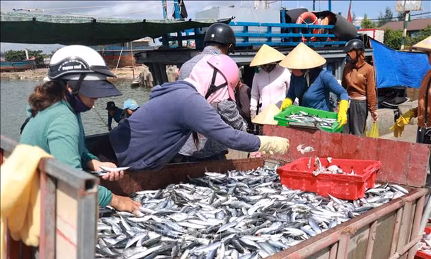 Đầu tư hạ tầng nghề cá tăng sức mạnh kinh tế biển
