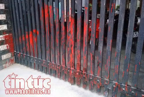 TP Hồ Chí Minh: Chủ nhà bất an vì bị kẻ xấu tạt sơn đe doạ ảnh 1