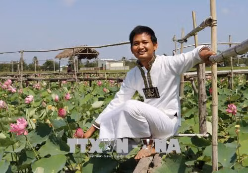 Chàng trai dân tộc Chăm cải tạo ruộng bùn sình thành cánh đồng hoa sen bát ngát ảnh 1