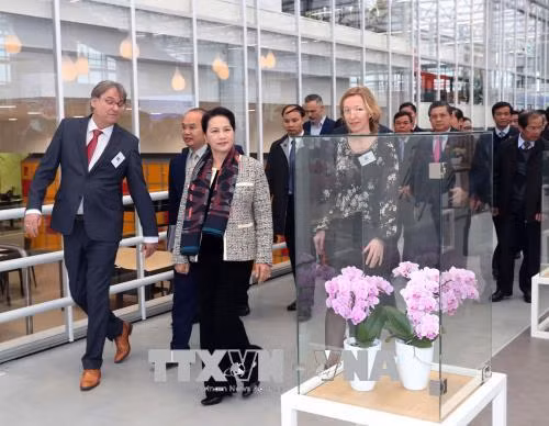  Chủ tịch Quốc hội Nguyễn Thị Kim Ngân thăm Trung tâm Nông nghiệp công nghệ cao World Horti Center ảnh 1