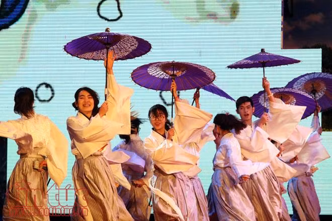 Hoa anh đào tươi rói khoe sắc tại Vườn hoa tượng đài Lý Thái Tổ ảnh 5
