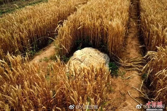 Tức cười với ngọn núi nhỏ nhất, cao 60cm! ảnh 3