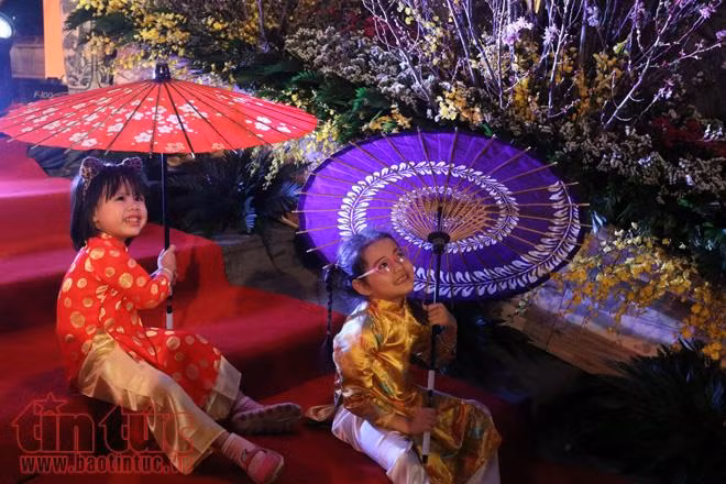 Hoa anh đào tươi rói khoe sắc tại Vườn hoa tượng đài Lý Thái Tổ ảnh 13