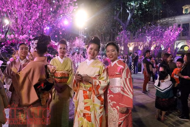 Hoa anh đào tươi rói khoe sắc tại Vườn hoa tượng đài Lý Thái Tổ ảnh 7